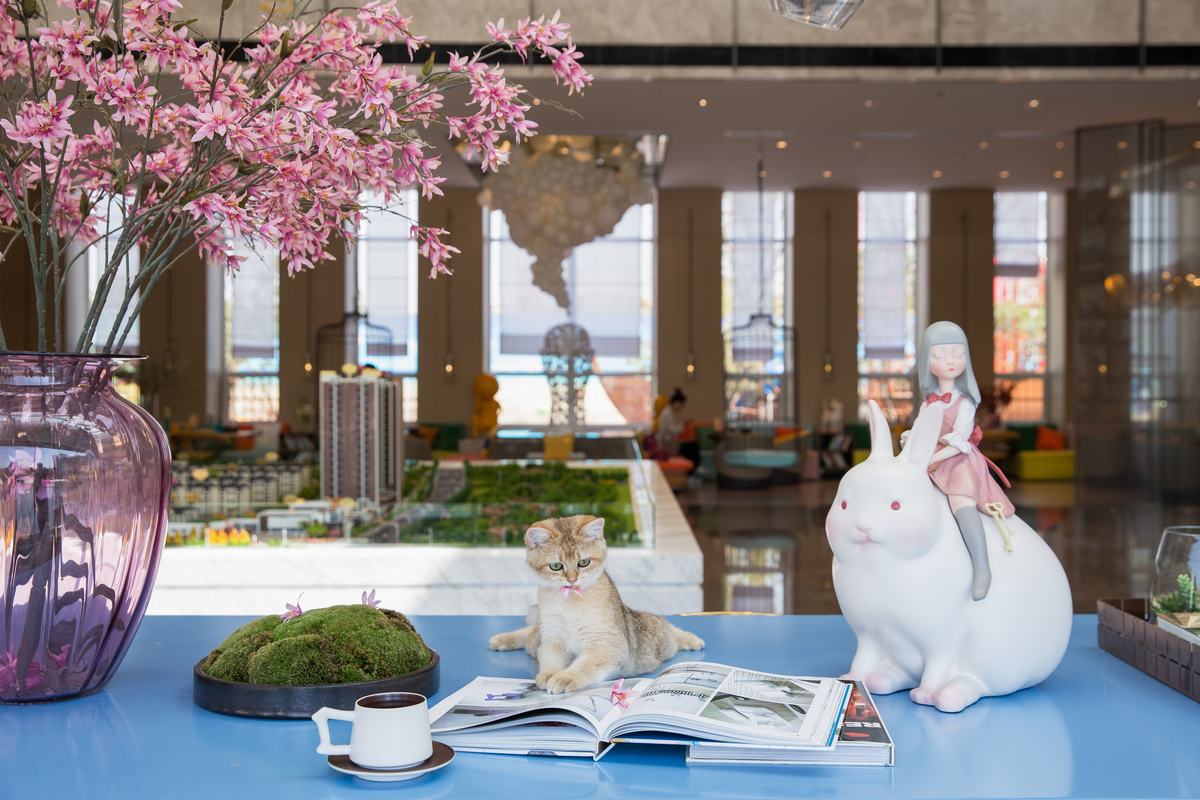 装修房子常见的4大问题(图1) 装修房子常见的4大问题(图1)